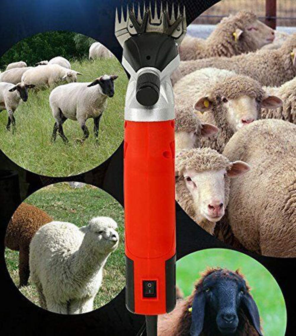 Sheep Shears Sheep Shearing 500W - Image 5