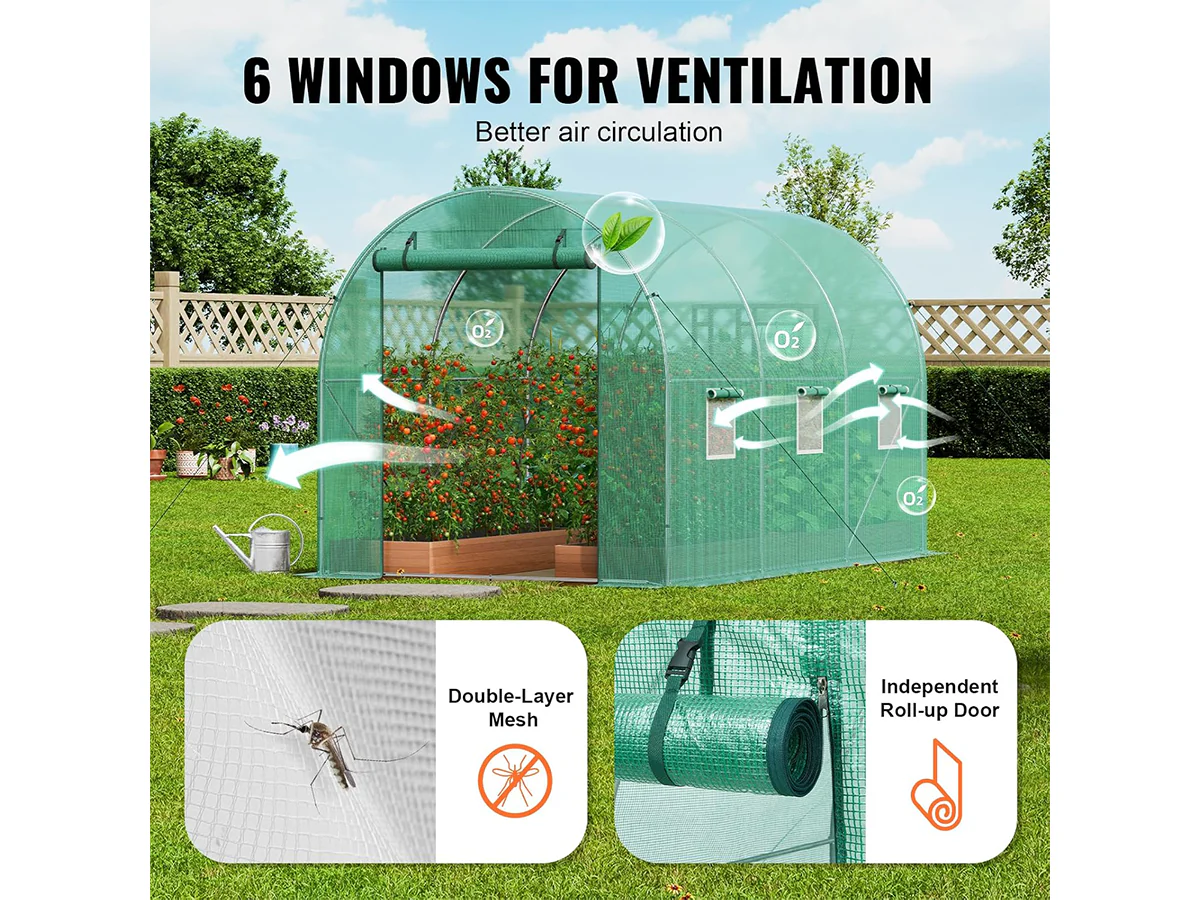 Tunnel Greenhouse - Image 6